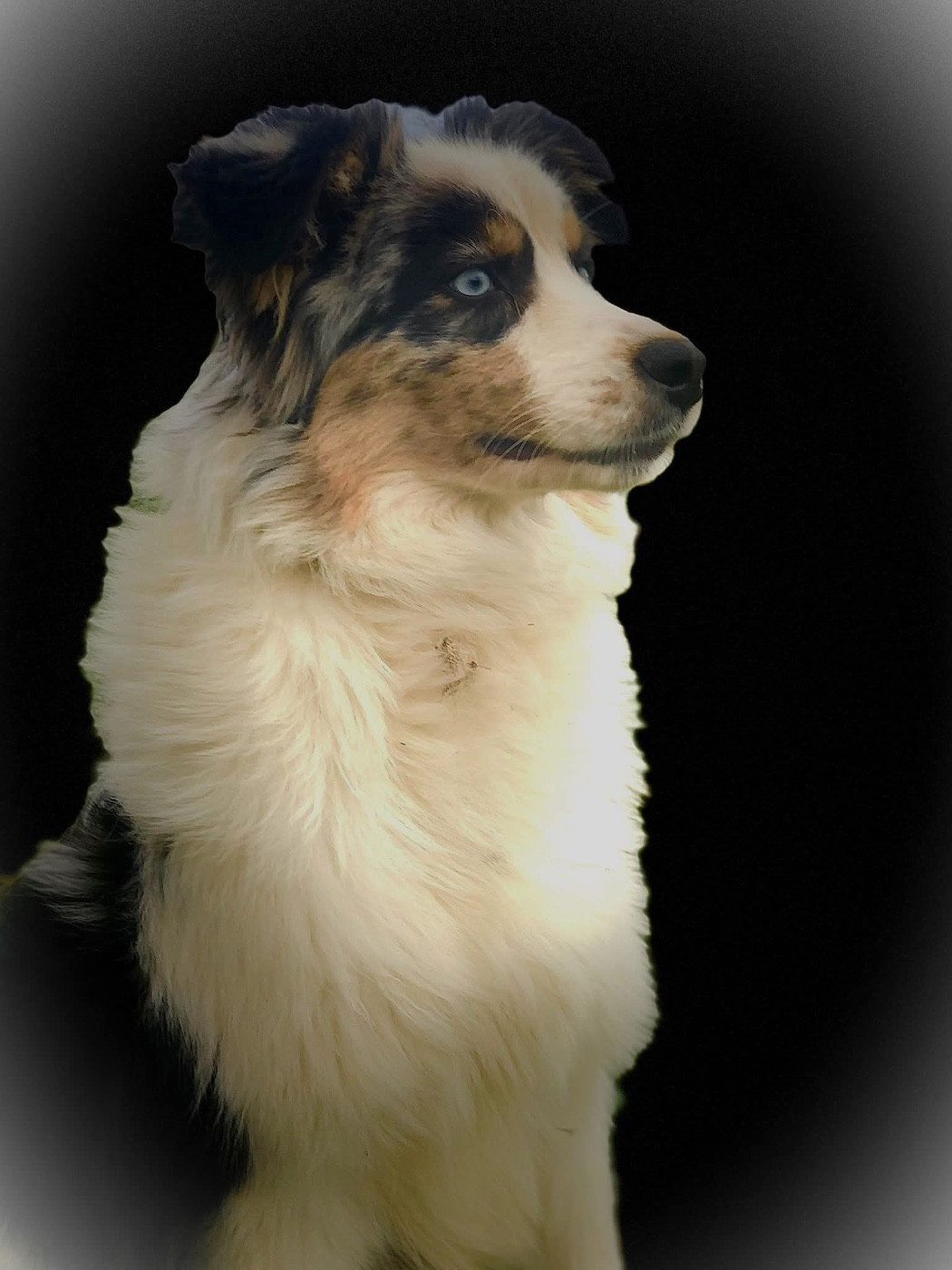 Toudown De La Folle Emprise