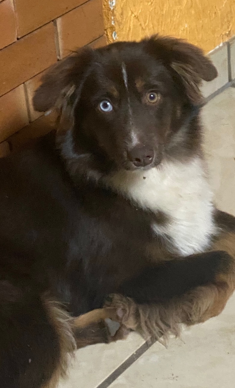 Usambara Du Règne De Malaudrea